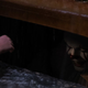 It (Photo: Warner Bros.)